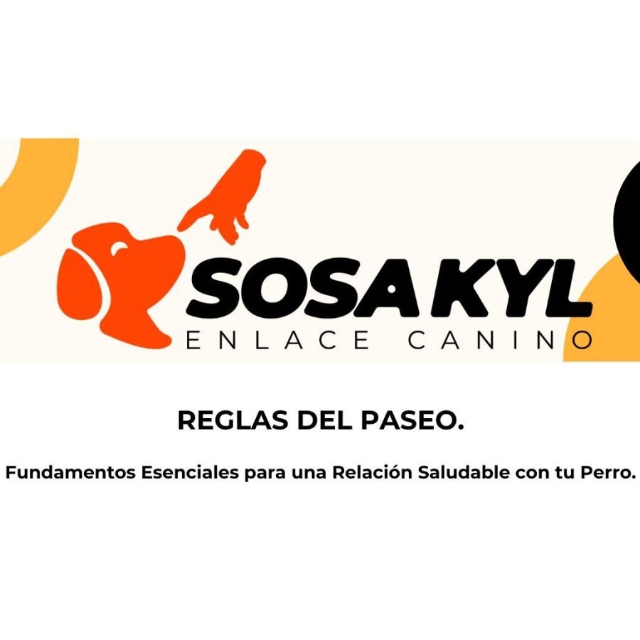 Copia de Propuesta Ronko OG 2024 Marketing